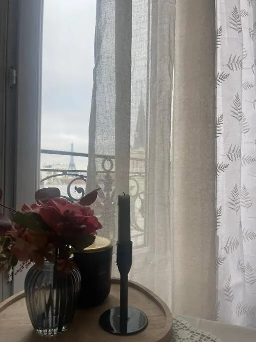 Superbe Studio Vue Tour Eiffel Paris 15 Apartment