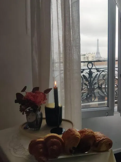 Superbe Studio Vue Tour Eiffel Paris 15 Apartment France